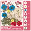 Paquete de Materiales DIY de Flores Secas Flores Prensadas Hechas a Mano Flores Conservadas Marcadores de Libros de Flores Prensadas Hojas de Árbol Real Plantas Pegatinas de Resina Maquillaje Facial