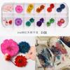 Nueva Uña Japonesa Flor Seca 12 Colores Estrella Girasol Margarita Pequeña 12 Colores Flor Seca En Caja 24 Flores Secas para Uñas