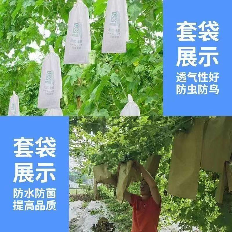 微信图片_20240513151327
