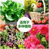 Solução Nutritiva para Plantas Fornecimento Direto do Fabricante Atacado Cultura em Solo Flores Hidropônicas Jardinagem Doméstica Em Vasos Concentrado Fertilizante Foliar Ação Rápida