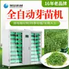 Incubadora de Brotes Totalmente Automática Comercial Máquina de Brotes de Frijol Xuzhong Brotes de Guisante Frijol Negro Frijol Mungo Máquina Inteligente de Cultivo de Brotes