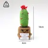 Planta Suculenta Cactus Tulipán Tejida a Crochet Muñeca Tejida Ramo de Flores Artificiales Decoración de Escritorio