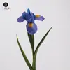 Venda Direta da Fábrica Flor Artificial de Orquídea Íris Estilo Alice, Flor Falsa Estilo Vintage, Adereço de Fotografia, Flor para Decoração de Casa