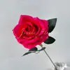 Flor Rosa Artificial Única Rosa em Cascata 520 Dia dos Namorados Casamento Buquê Arranjo de Flores Flor Artificial Flor Decorativa Flor Falsa