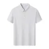 Camisa Polo Logo Personalizado Publicidad Camiseta de Manga Corta con Texto Impreso, Uniforme de Clase, Camisa Cultural para Fiesta de Eventos, Bordado de Ropa de Trabajo Corporativa