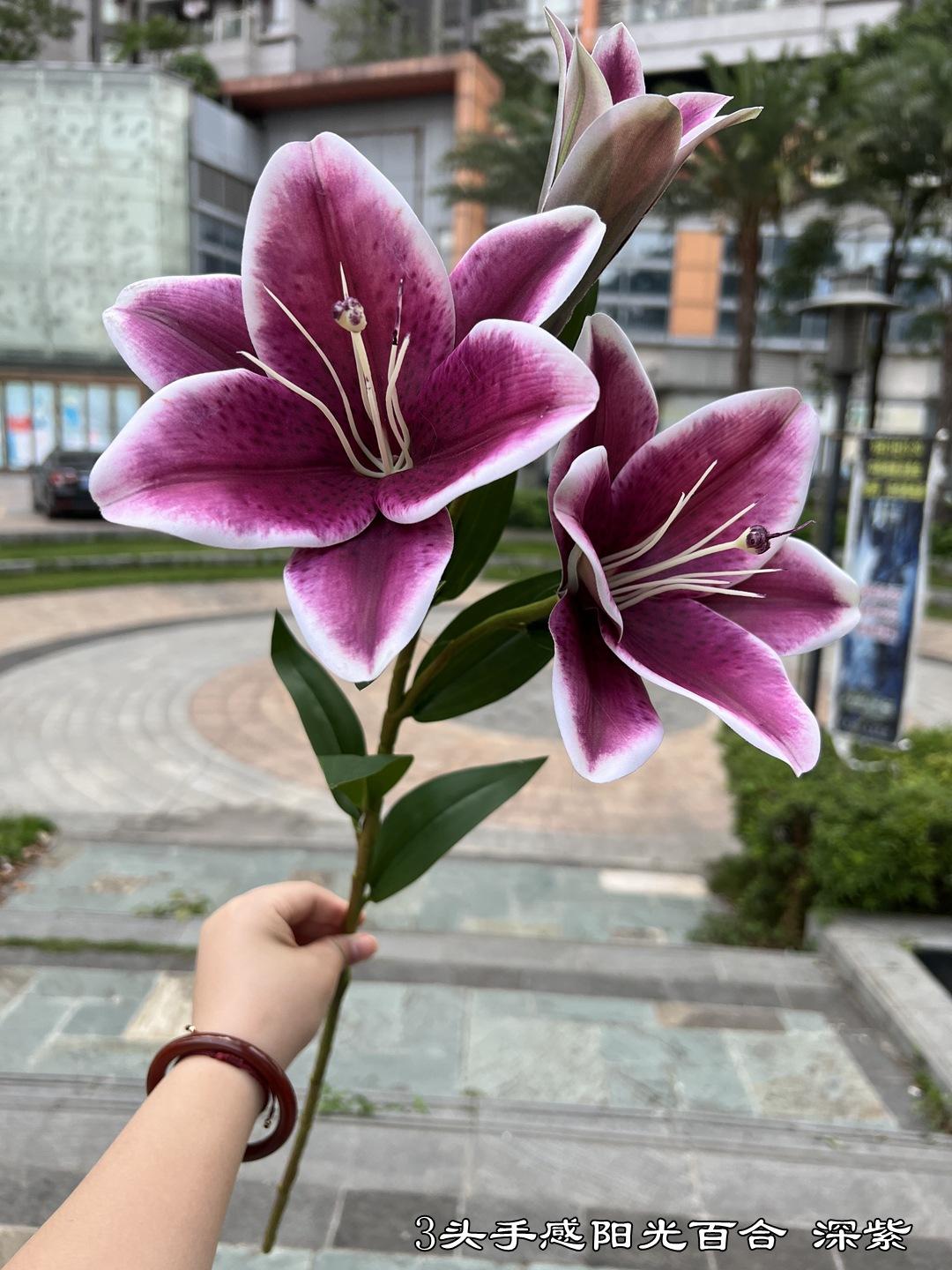 微信图片_20220605142952.jpg
