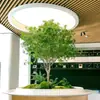 Madera borracha de caballo de alta gama simulación planta ventana paisajismo decoración interior árbol biónico plantación verde árbol falso grande paisaje simple