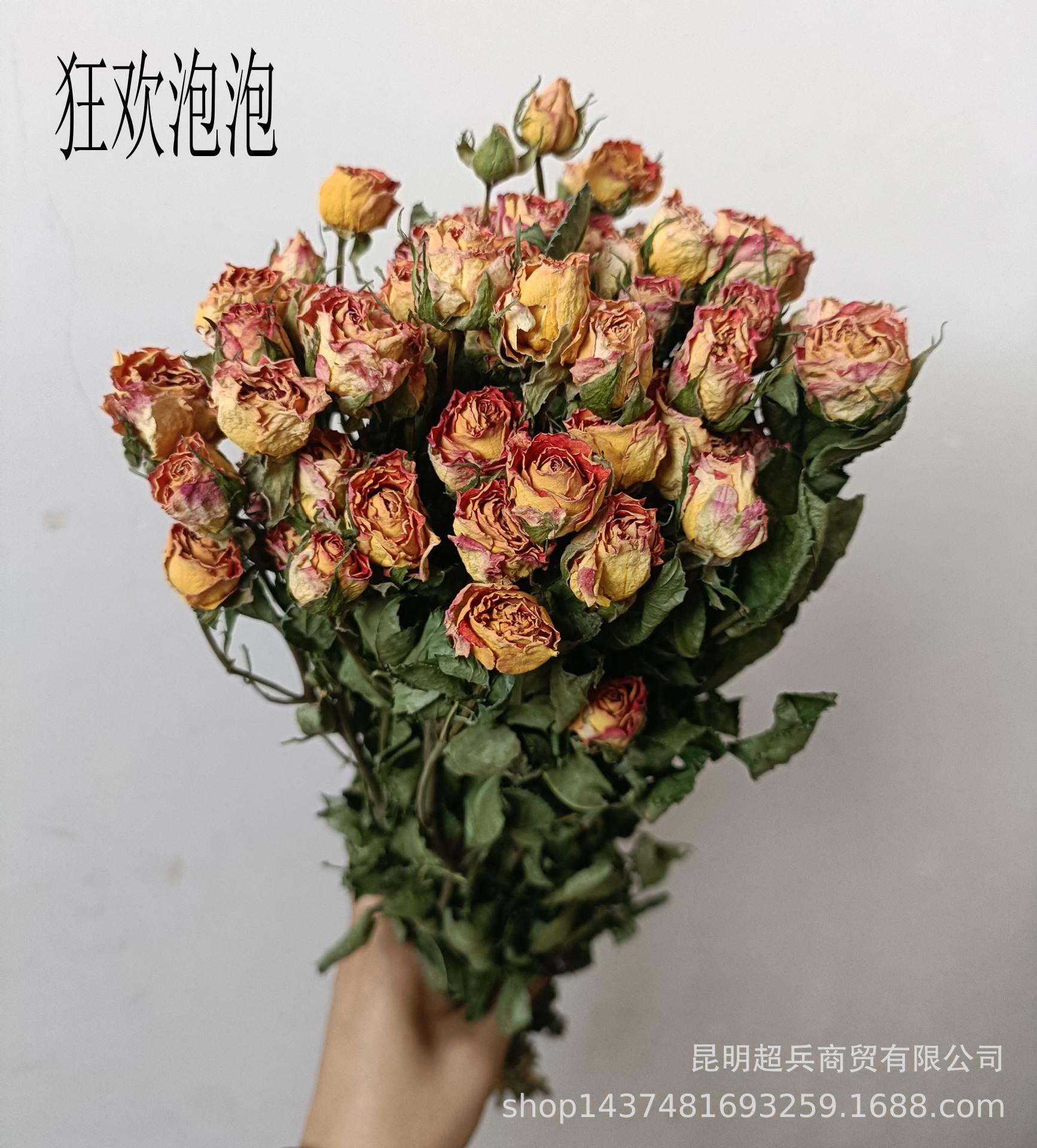 IMG20230727135305.jpg