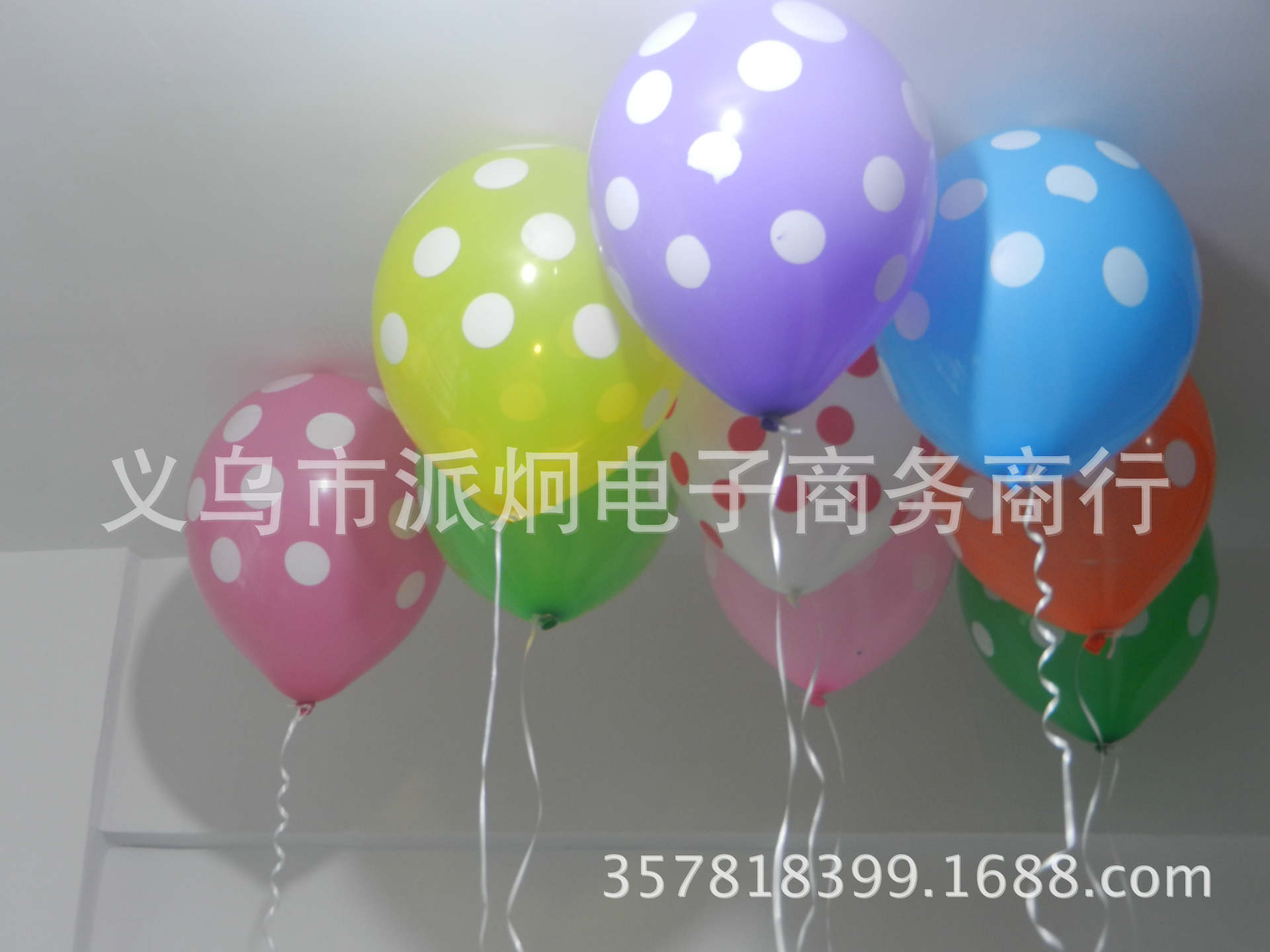DSCN5278