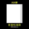 Papel para especímenes de plantas, cartón, papel para especímenes, papel absorbente, carpeta para especímenes de plantas, herramientas y materiales para la preparación de especímenes de plantas