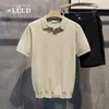 Camisa Polo de Punto de Manga Corta para Hombre con Cuello de Gaviota, Cuello en V, Textura Estilo Old Money, Seda de Hielo, Verano, Fábrica Transfronteriza Venta al por Mayor