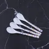 Vajilla de melamina plástico imitación porcelana cuchara aplicación blanca cuchara de sopa pequeña cuchara de café cuchara para condimentos cuchara pequeña cuchara de regalo