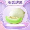 Melón Dulce Yugu de Shandong Venta al por Mayor Entrega 3/5/ 4.5kg Textura de Helado Melón Dulce Crujiente en Caja Colorida Fruta Fresca