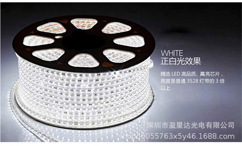 4442830393_167789555_副本