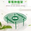 Suporte para Flores Estante de Armazenamento Suporte para Bandeja de Morangos Suporte de Rede de Plástico para Plantio de Plantas Verdes Envasadas Suporte Redondo para Cultivo de Legumes