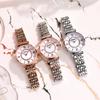 Ba-Especial Explosiones de Microempresa Moda Gipsófila Reloj Correa de Acero para Mujer Rueda de la Fortuna Reloj de Cuarzo Reloj Casual