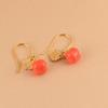 Ciervo Dorado Rey Plata S925 Chapado en Oro Ruyi Candado de Plata Carácter de Fortuna Joyería Caqui Esmaltada a Color Ruyi Aretes Aretes Aretes de Mujer