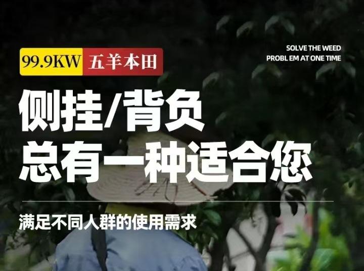 微信图片_20250610140401.jpg