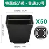 Maceta Cuadrada Negra Pequeña, Soporte para Macetas Multiusos, Cesta Organizadora, Bandeja para Cortar Hojas y Plantar Plántulas, Maceta para Plántulas, Caja de Almacenamiento y Organización para Invernadero