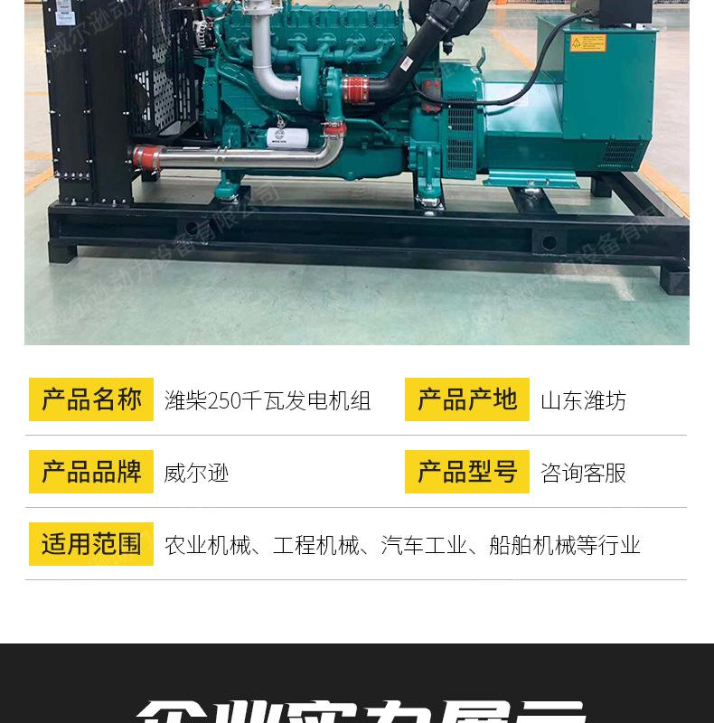 潍柴250千瓦发电机组_11.jpg