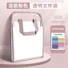 Bolsa Plegable Transparente para Guardar Papeles de Prueba Carpeta Portátil Vertical Bolsa de Clasificación por Materia de Gran Capacidad de 13 Capas