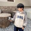 [Beneficio de Código Rompedor] Sudadera con Capucha para Niño Espesada 2022 Nueva Ropa para Niños Chaqueta de Terciopelo de Color Puro Estilo K para Niños