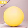 Pelota de Yoga Pilates PVC Engrosada Antiexplosión Resistencia Pelota de Yoga Fitness Ejercicio Pelota de Equilibrio Yoga