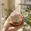 Regalos creativos: Plantas suculentas artificiales de vidrio Zibo en maceta, manualidades de vidrio, decoraciones de escritorio estilo ins al por mayor