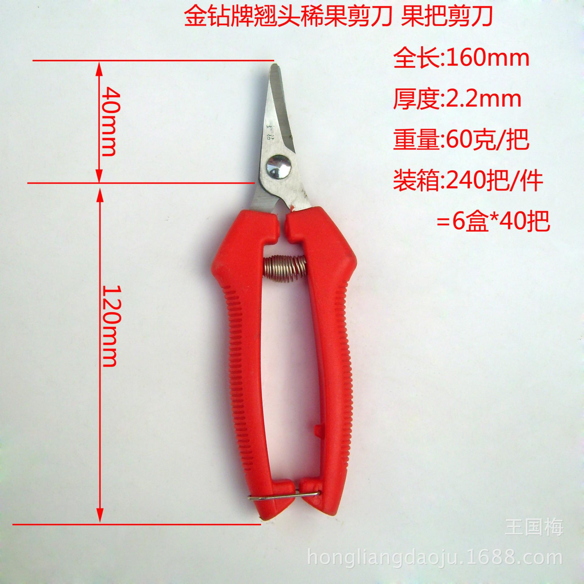 DSCI0045