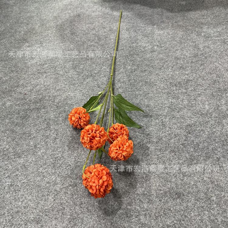 微信图片_2023022115300711_副本