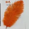 Pluma de avestruz al por mayor, 25-30 cm, color, ideal para ramo de día del maestro, pastel, tocado de plumas, accesorios de joyería