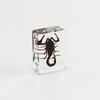Aiwei nueva decoración de especímenes de insectos de tamaño pequeño insecto real resina epoxi pueblo libro espécimen ámbar material didáctico para niños