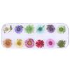 Molde de gota de pegamento DIY triunfante, planta, flor seca, material en relieve, flor real, hoja, espécimen, marcapáginas, Amazon