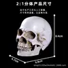 Modelo de Cráneo de Resina Boceto de Cráneo Adornos Médicos Decoraciones de Halloween Accesorios Artificiales Arte de Cráneo