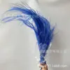Grama Barba de Dragão Eterna Pendurada Arroz Decoração de Casa Pendurada na Parede Planta de Rattan Decoração de Casamento Grama Aspargo Grama Pena Grama Barba de Dragão