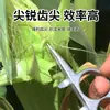 Herramienta Multifuncional para Pelar Maíz, Pelado Rápido, Engrosada, Duradera, Punta de Diente Afilada, Engancha la Piel, Agarre Eficiente y Cómodo