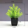 Punto Nuevo Bonsái Plantas de Decoración para el Hogar Pequeños Adornos Flores Artificiales Plantas Verdes Plantas en Maceta Flores Artificiales Fábrica Venta al Por Mayor