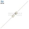Fabricante original fusible de vidrio 3.6*10 T1/2/3/3.15/5/10A tapa doble cable de plomo tubo de ruptura lenta