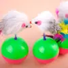 Roly-Poly Rato Brinquedo para Cachorro Brinquedo para Gato Vara Catnip para Gato Brinquedo de Rato Brinquedo Catnip para Gato