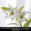 Flores Artificiais Brancas de Casamento para Teto do Salão de Casamento, Arranjo de Piso do Palco, Decoração de Corredor e Arranjo de Flores