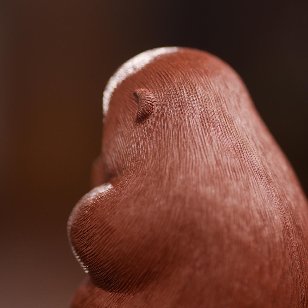 猴子拉毛大红袍猴子1120