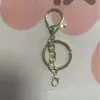Llavero Pulido Electroplateado con Broche de Langosta, Anillo para Llaves, Cadena, Llavero con Broche de Langosta, Cadena Colgante, Colgante de Muñeca