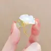 Broche de Lujo Ligero de Gama Alta Diseño de Nicho Accesorios de Ramillete Moda Zodiaco Temperamento Pines de Animales de Gama Alta Venta al por Mayor