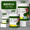 Pintura Marley para pintar paredes, impermeable y resistente al sol, adecuada para telas, ropa, lienzo y pintura de yeso, tarro grande de 500 ml de pintura acrílica