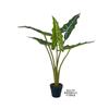 Simulación Salian Sea Taro Estilo Nórdico Decoración de Escaparate de Tienda para el Hogar Planta de Simulación Planta Verde de Simulación Taro de Hada