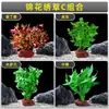 Plantas de Acuario, Decoraciones de Paisajismo con Césped Real, Plantas Aptas para Principiantes, Crisantemo Verde Ciempiés, Plantas de Sombra, Piedra Volcánica, Plantas Verdes Purificadoras de Agua