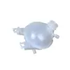 Comercio electrónico transfronterizo comercio exterior fabricantes de suministro al por mayor aplicable Fu te PEUGEOT tanque de agua auxiliar 9800777280
