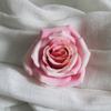 Flor de Imitação Cabeça de Flor de Rosa Decoração de Parede de Flores de Casamento Flor de Tecido de Seda Flor para Penteado Grampo de Cabelo Flor Rosa Enrolada Cabeça de Flor de Rosa Atacado
