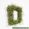 Rama de musgo creativa, fondo de planta verde, musgo, bosque, planta, decoración de pared, corteza, césped, ventana, decoración de pared