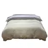 Novo Conjunto de Roupa de Cama de Gaze Amassada de Quatro Peças com Acabamento em Renda e Design Floral, Uso Doméstico Capa de Edredom Duplo e Lençol de Cama Venda por Atacado
